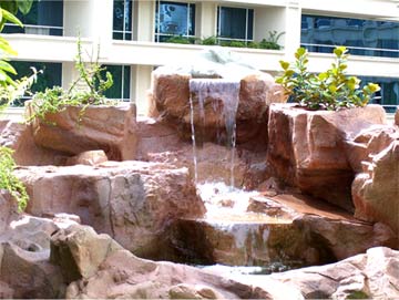 National Skin Center